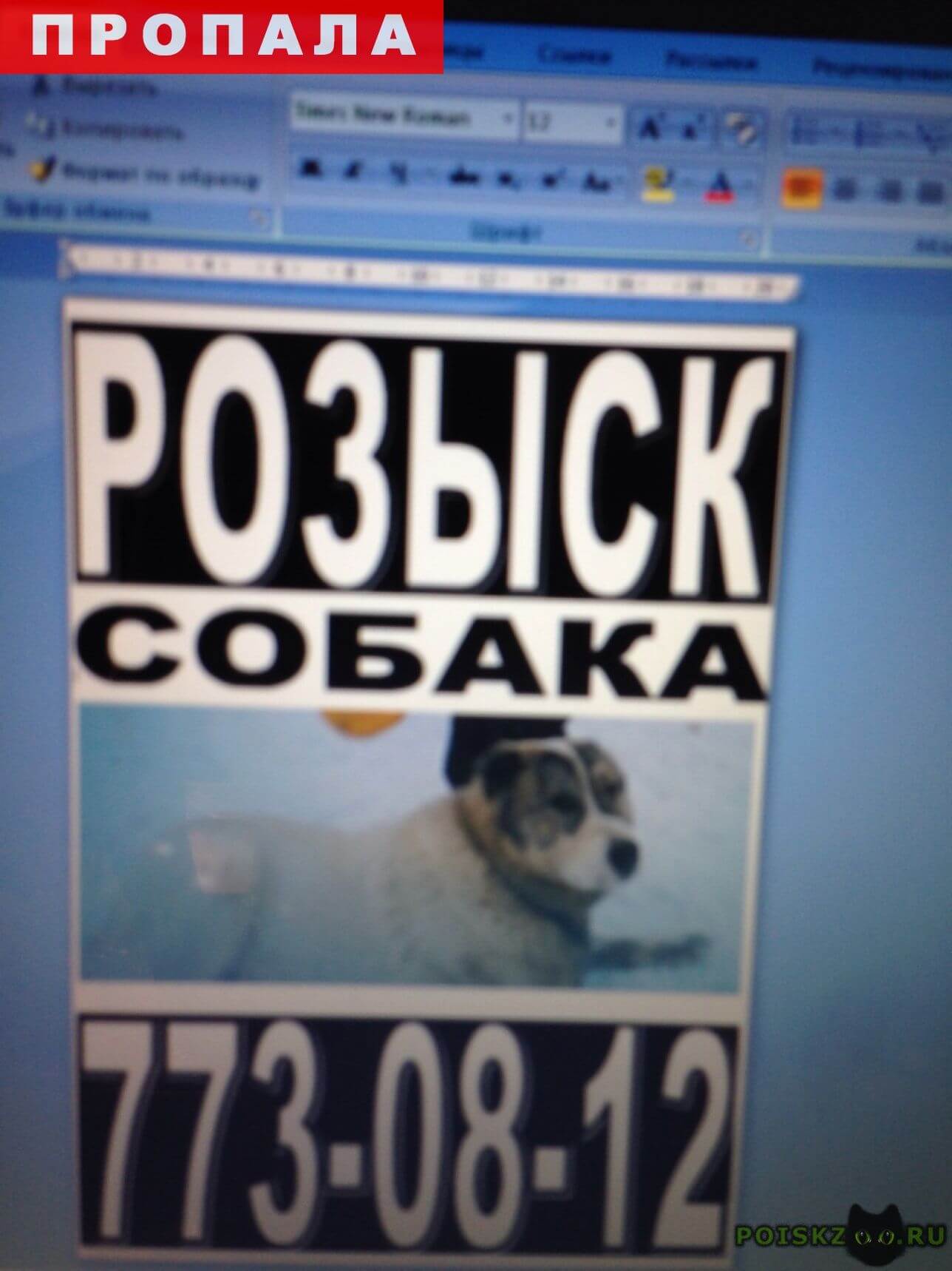 Пузатый носач номер сучка nomer-suchka