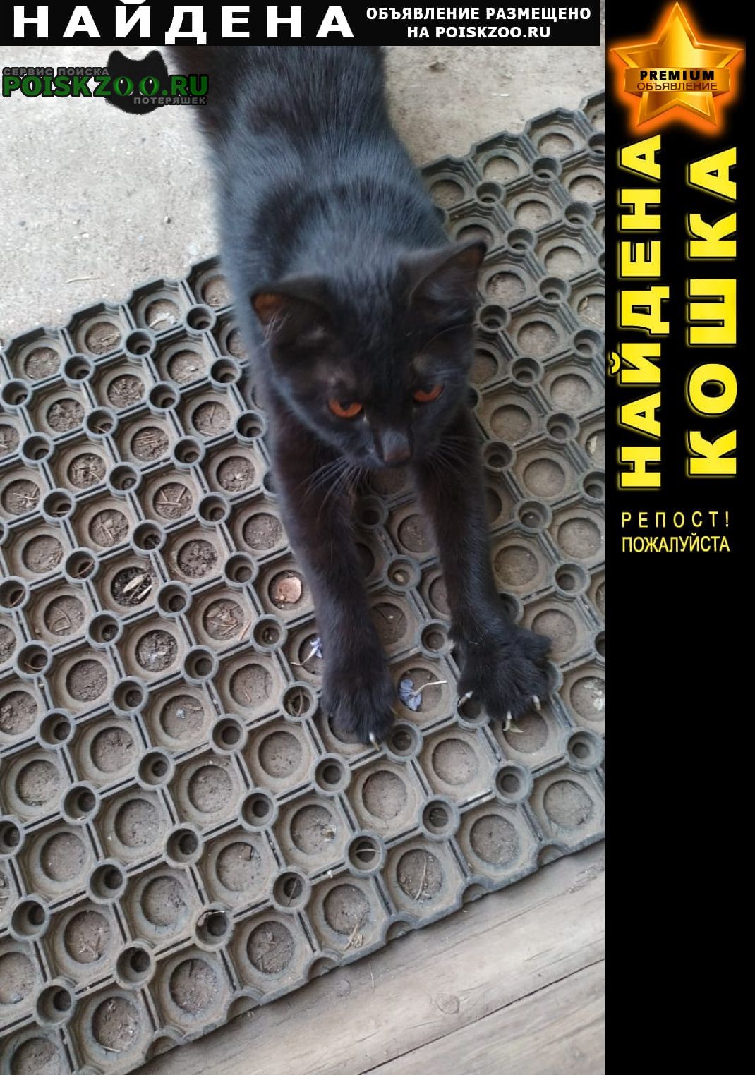Найдена кошка черная кошечка, около года Уфа