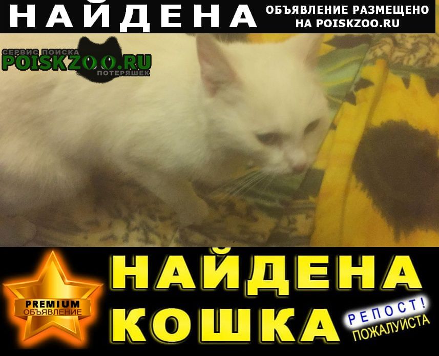 Найдена кошка белая /кот крылатское Москва
