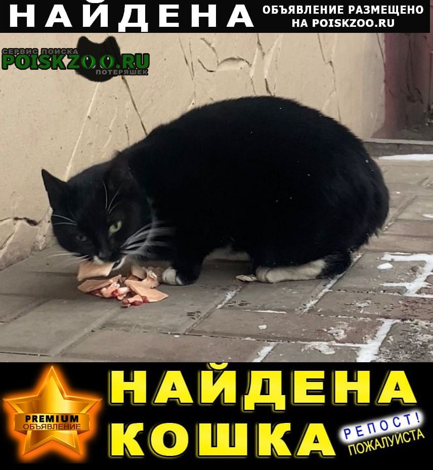   - (  ) 