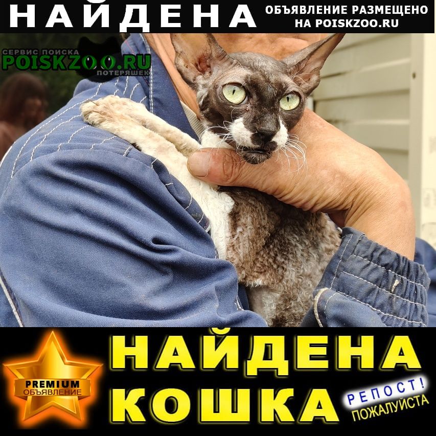 ���� ������� ����� ��. ��������