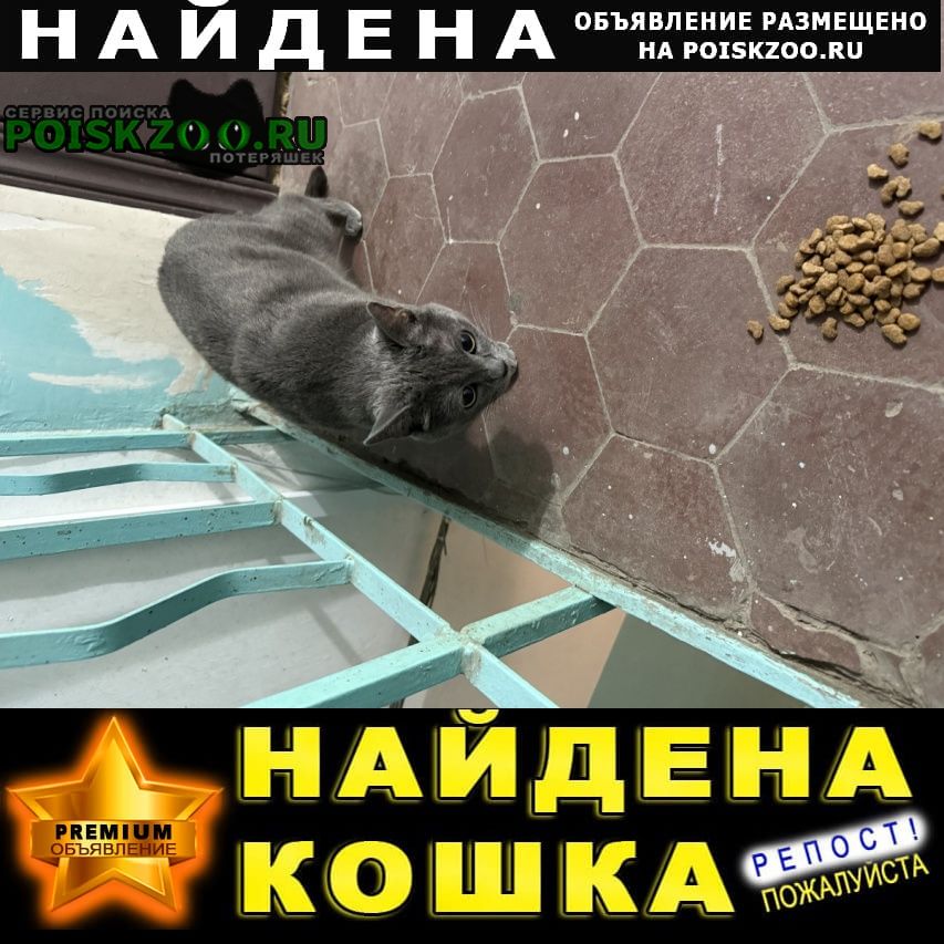 ���� ������� ����� ��������, �� ����� ���