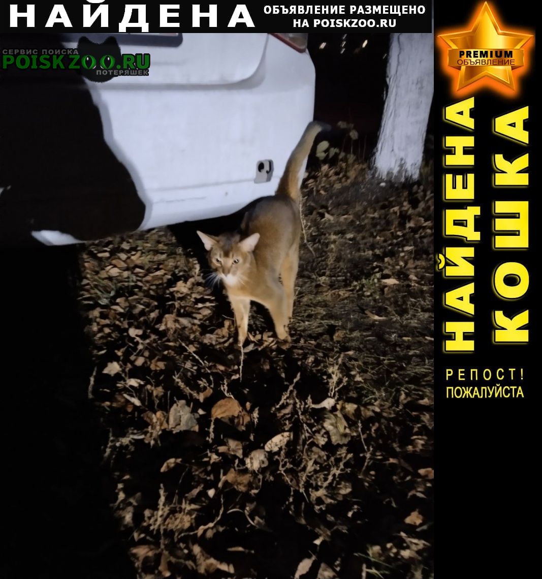 ���� ������� ����� � �������� ����� � ��� n10