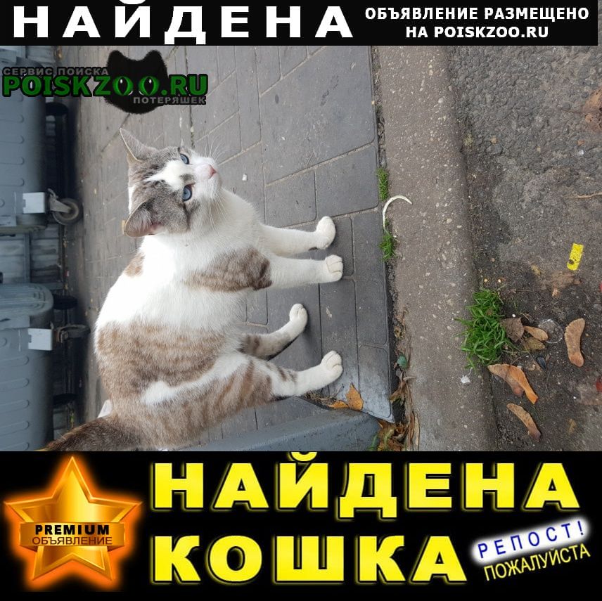 ���� ������ ��� ������� ��� � �������� �������