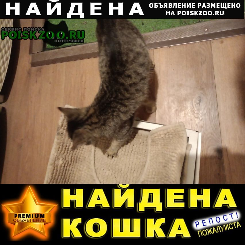 ���� ������ ��� �������, �������� 5 �������