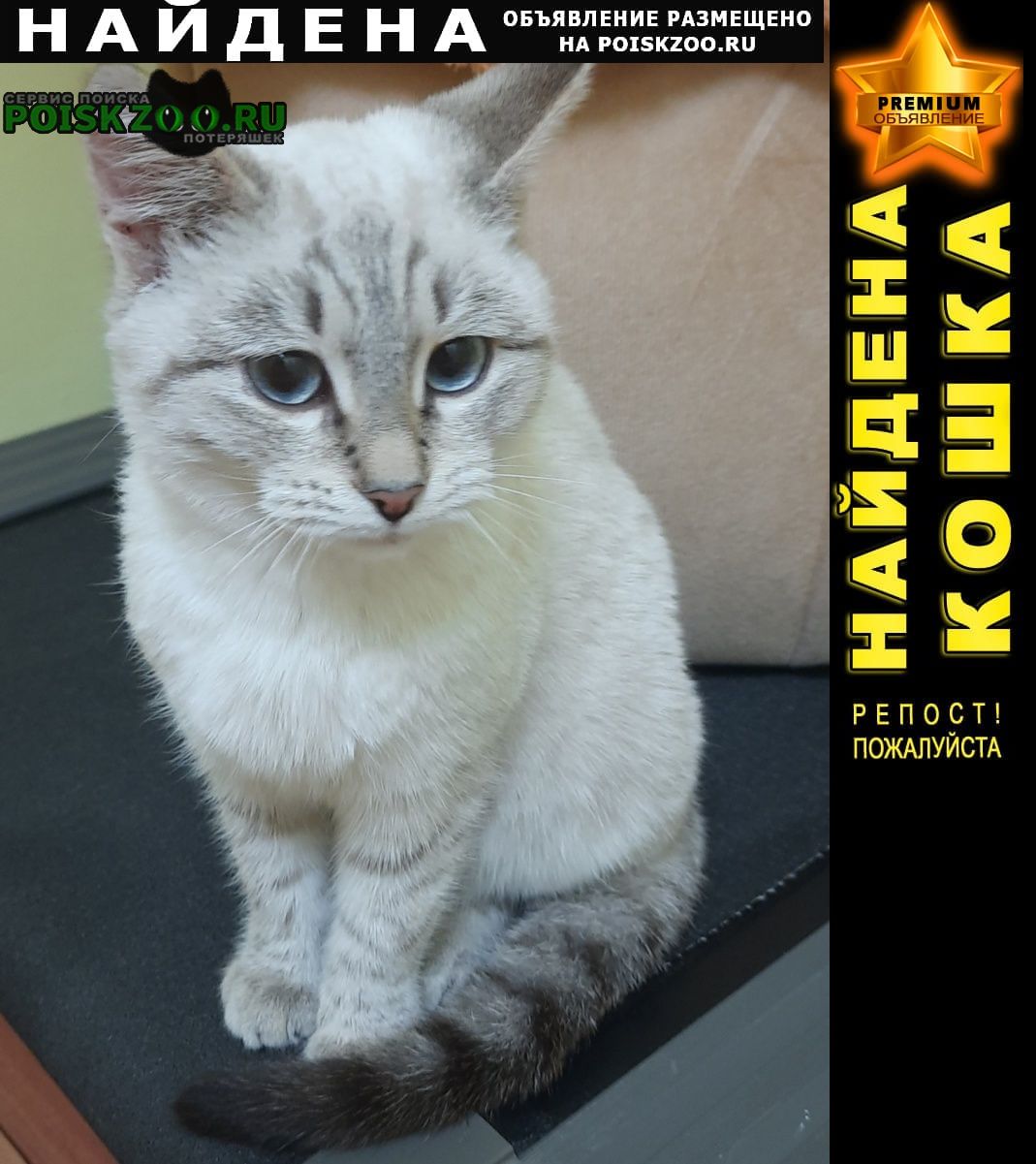 ���� ������� �����