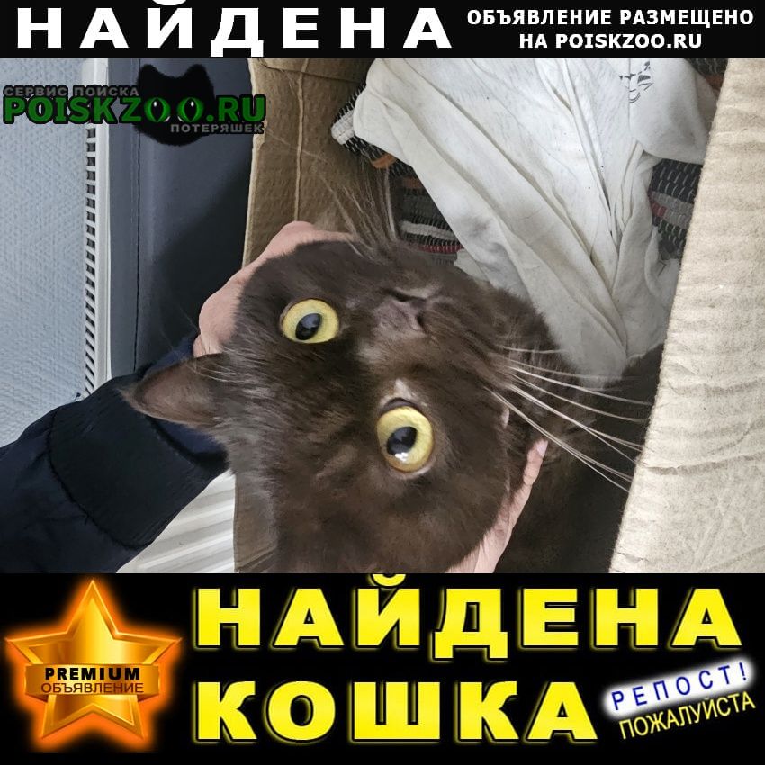 ���� ������ ��� � ����������� ����