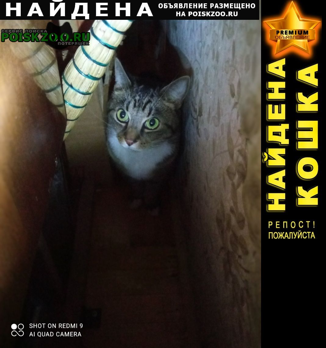 ���� ������� ����� �������� ���