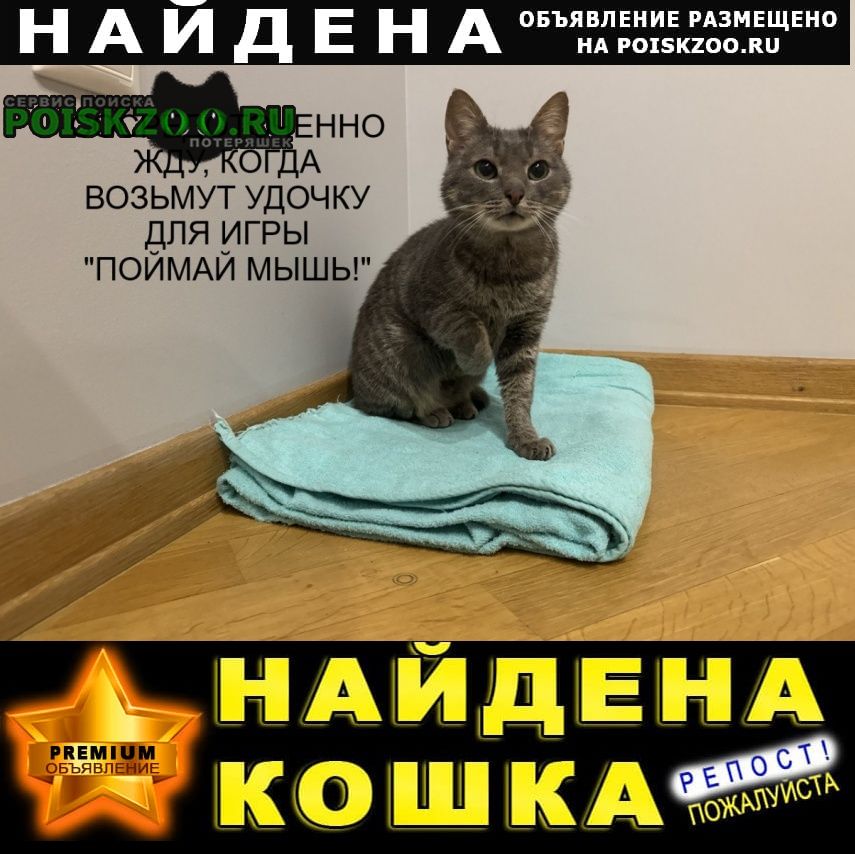 ���� ������ ��� ����� ��� ���� ������