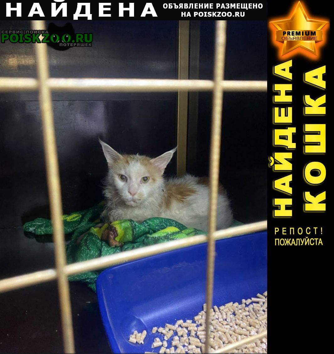 ���� ������ ��� ���-���