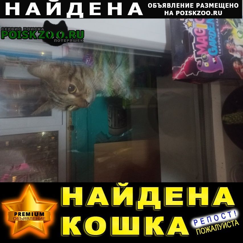 ���� ������ ��� ����� ������� ���