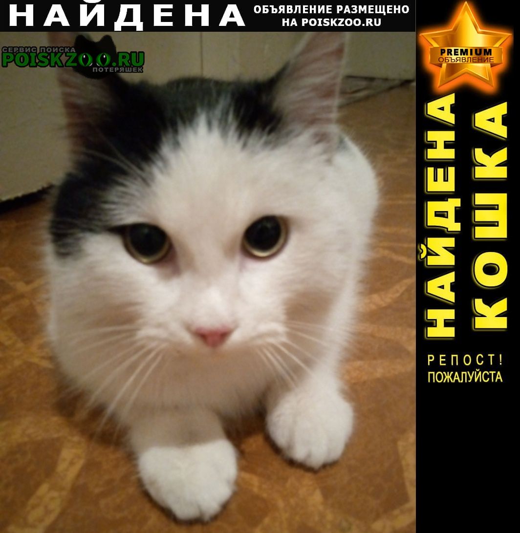 ���� ������ ���