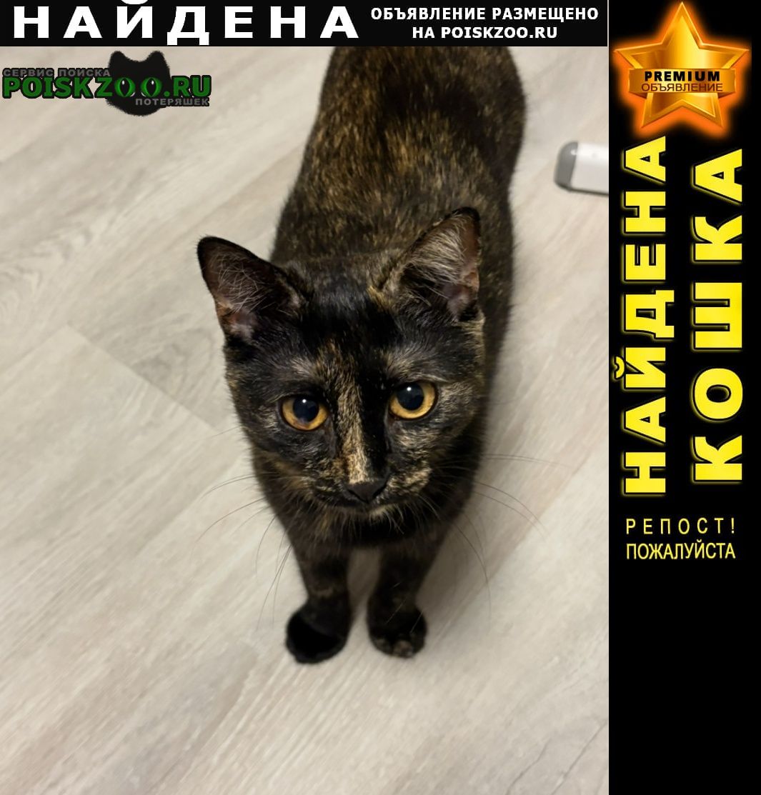 ���� ������� �����.