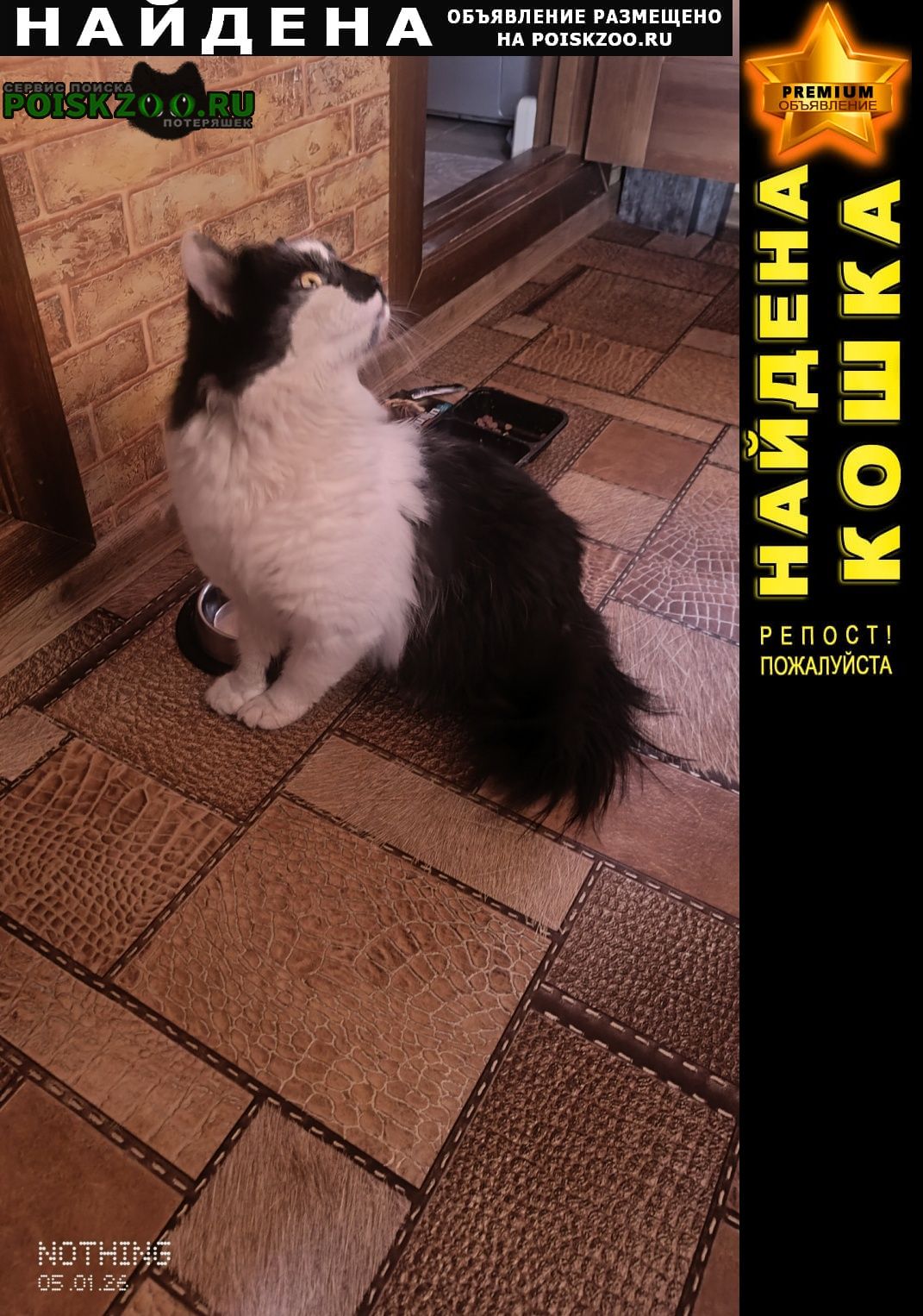 ���� ������ ���