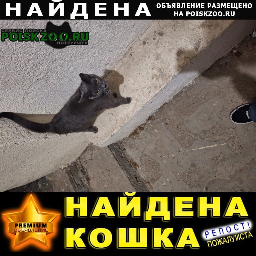 ���� ������� ����� ��� ��� �����