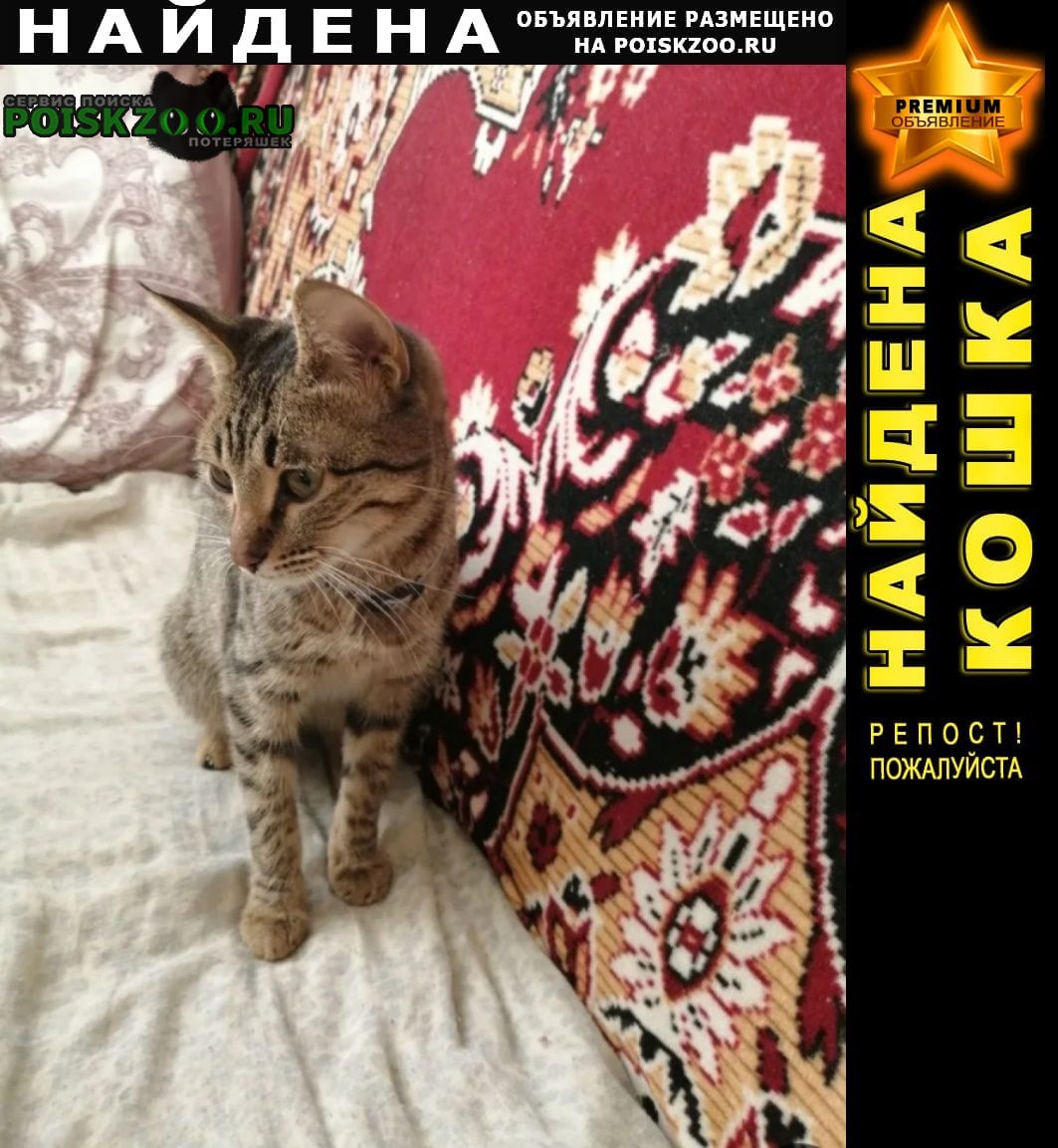 ���� ������� ����� ���������