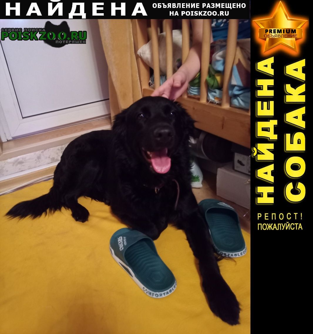 ���� ������� ������ � �� ������� ������ �� ���������� ������