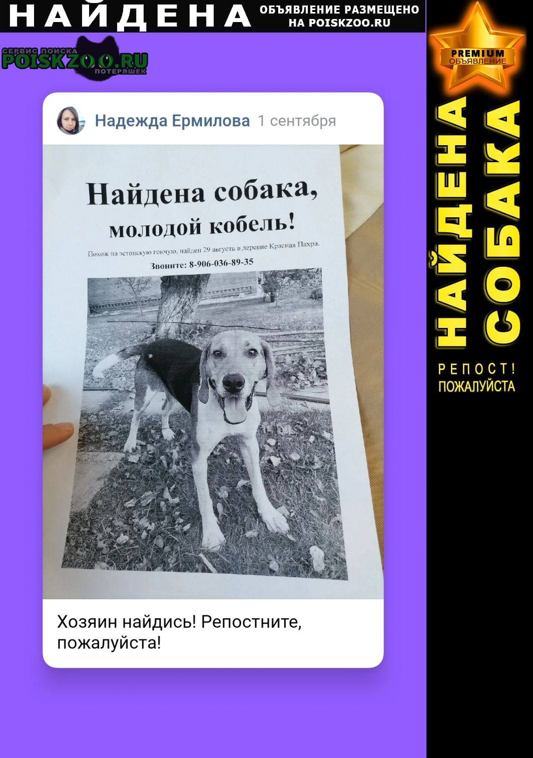 Найдена собака кобель похож на эстонская гончая Троицк