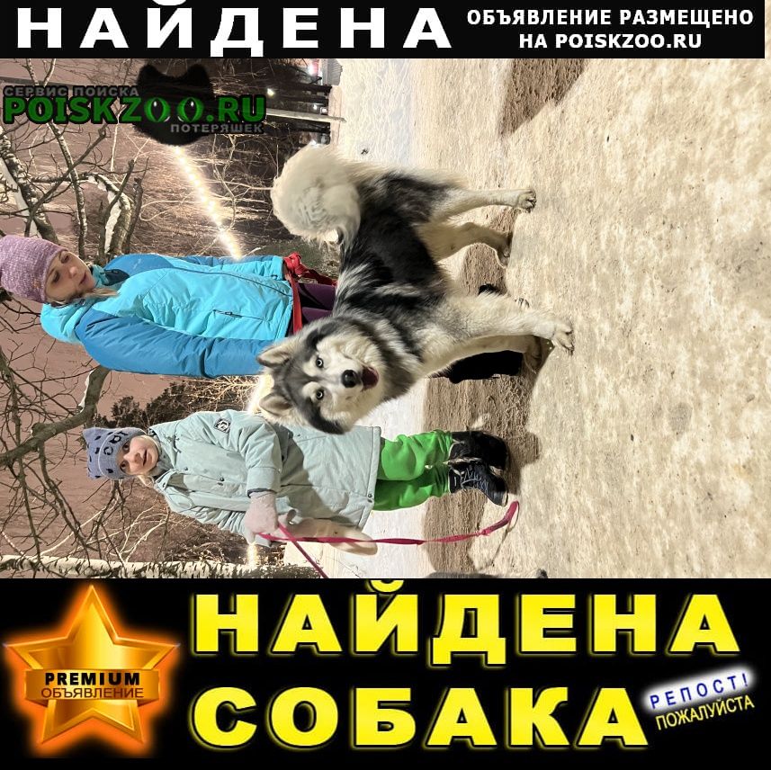 Казань Найдена собака кобель