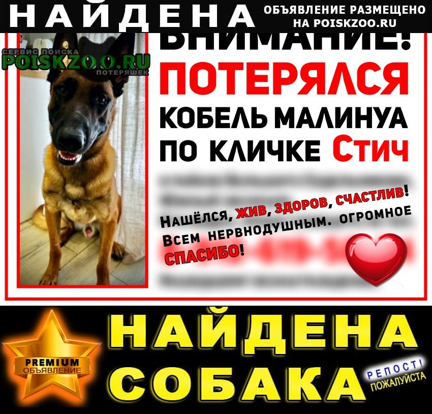 Найдена собака кобель урааа Екатеринбург