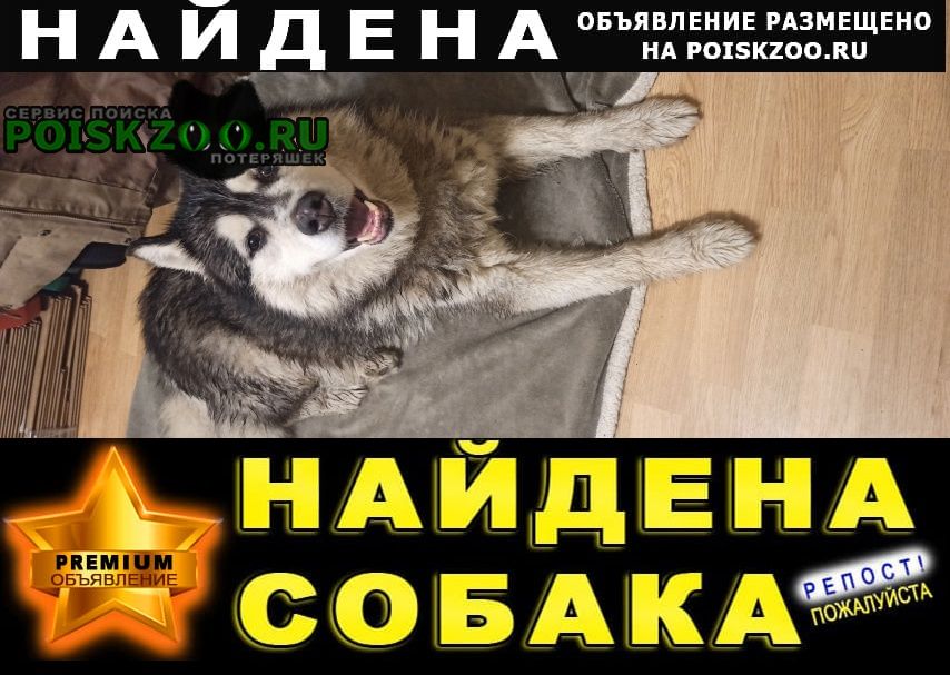    / 