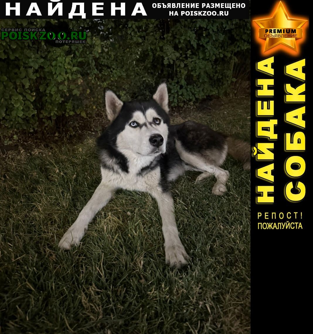 ���� ������� ������