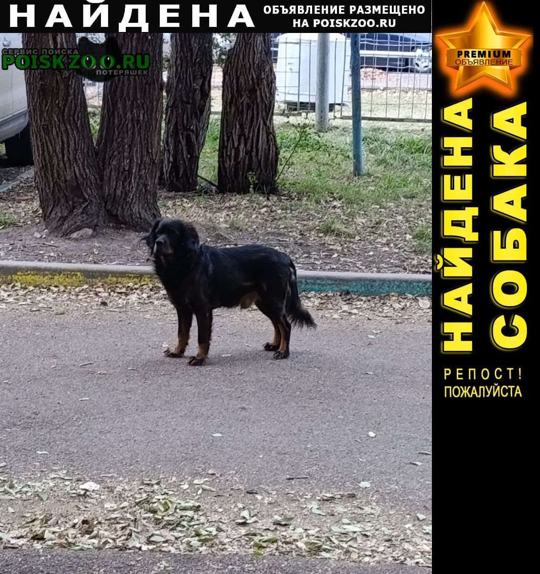 ���� ������� ������ ������