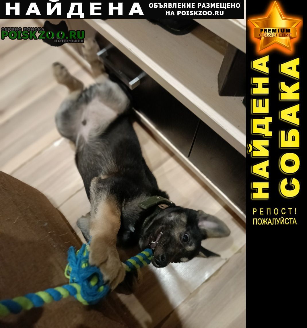 ���� ������� ������ ������