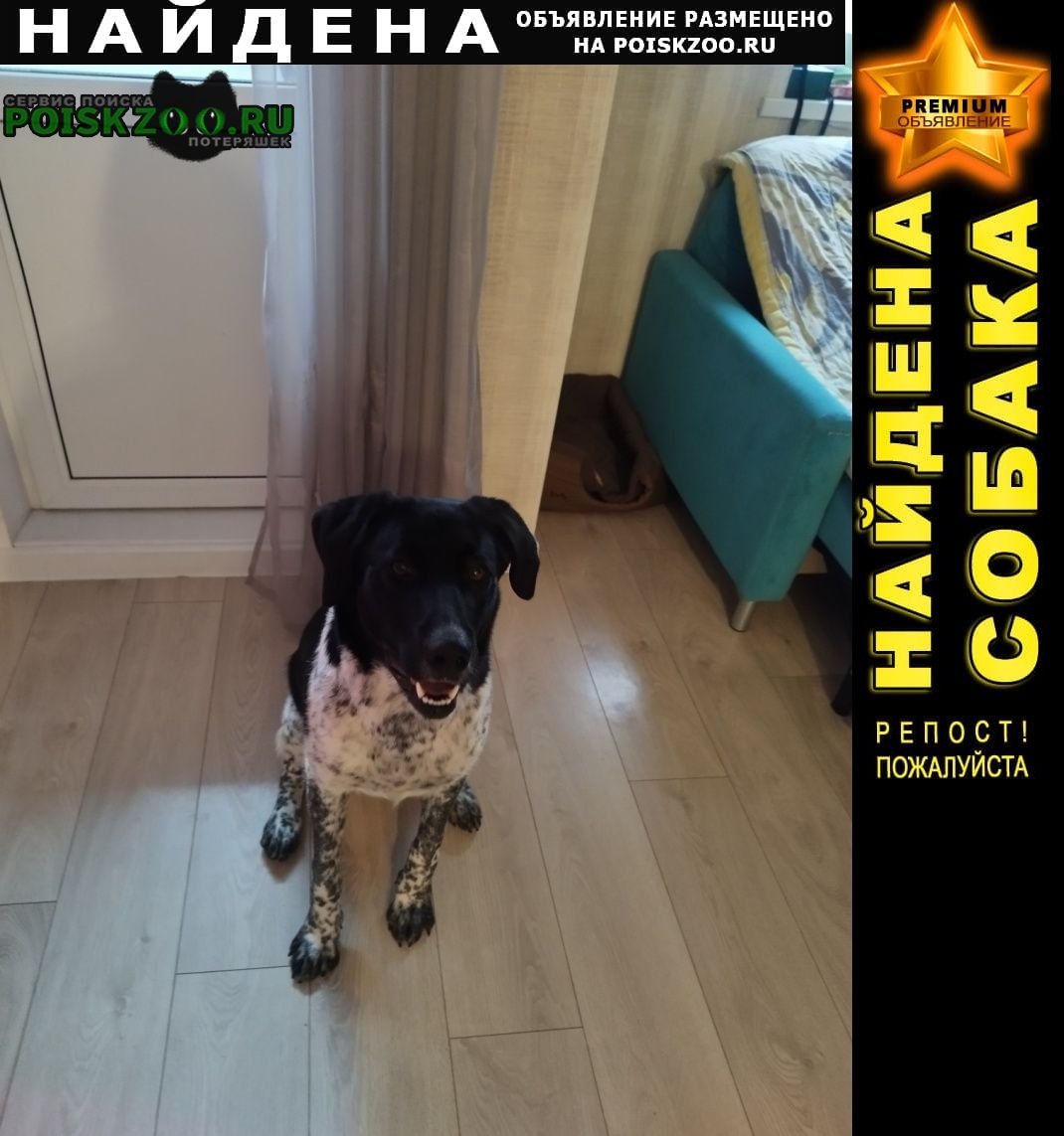 ���� ������� ������