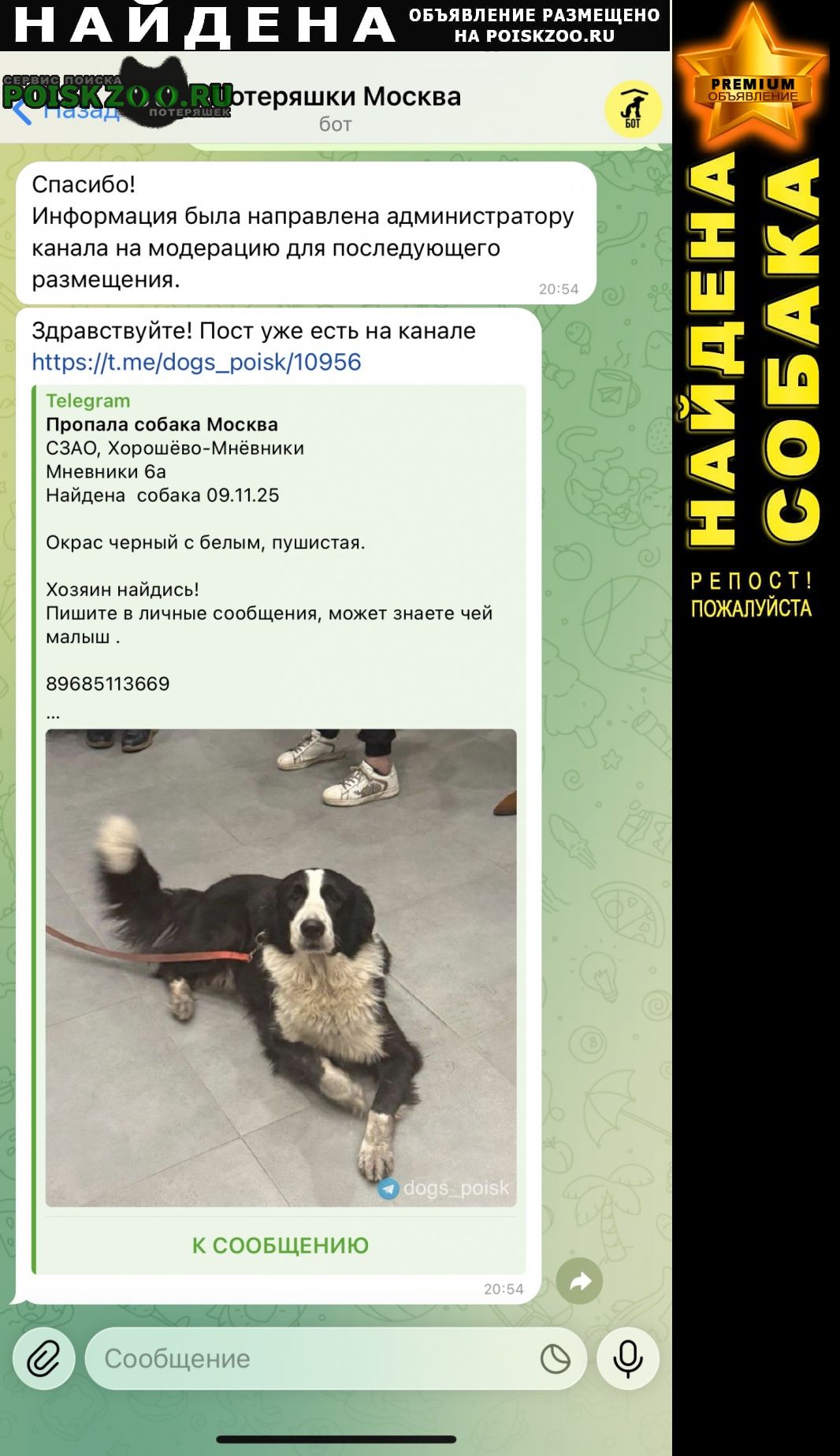 ���� ������� ������.