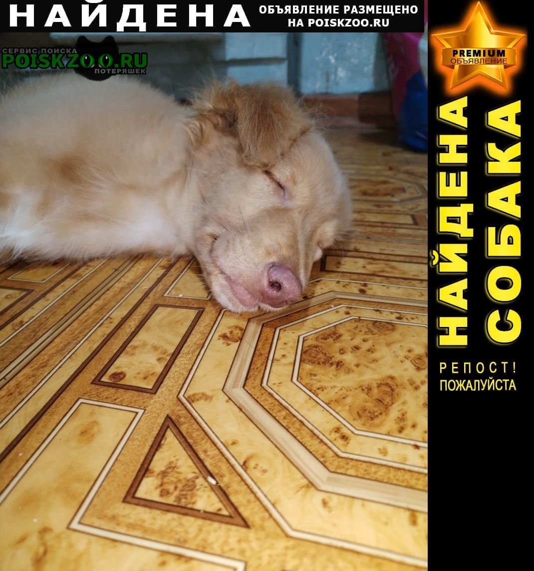 ���� ������� ������ ������