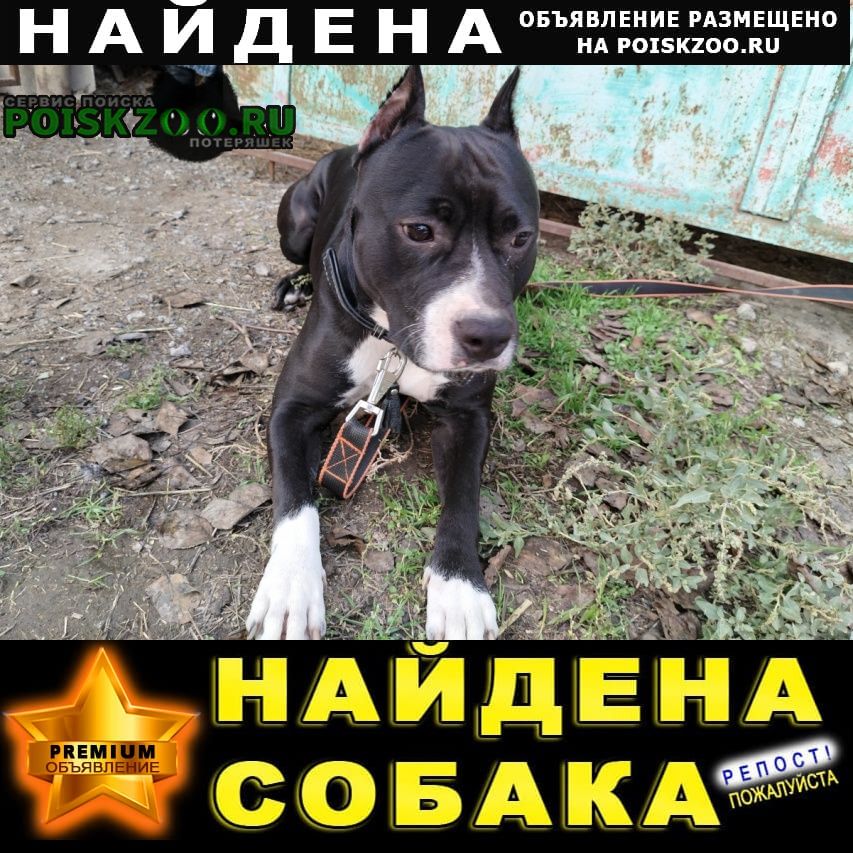 ���� ������� ������ ��������. �������.