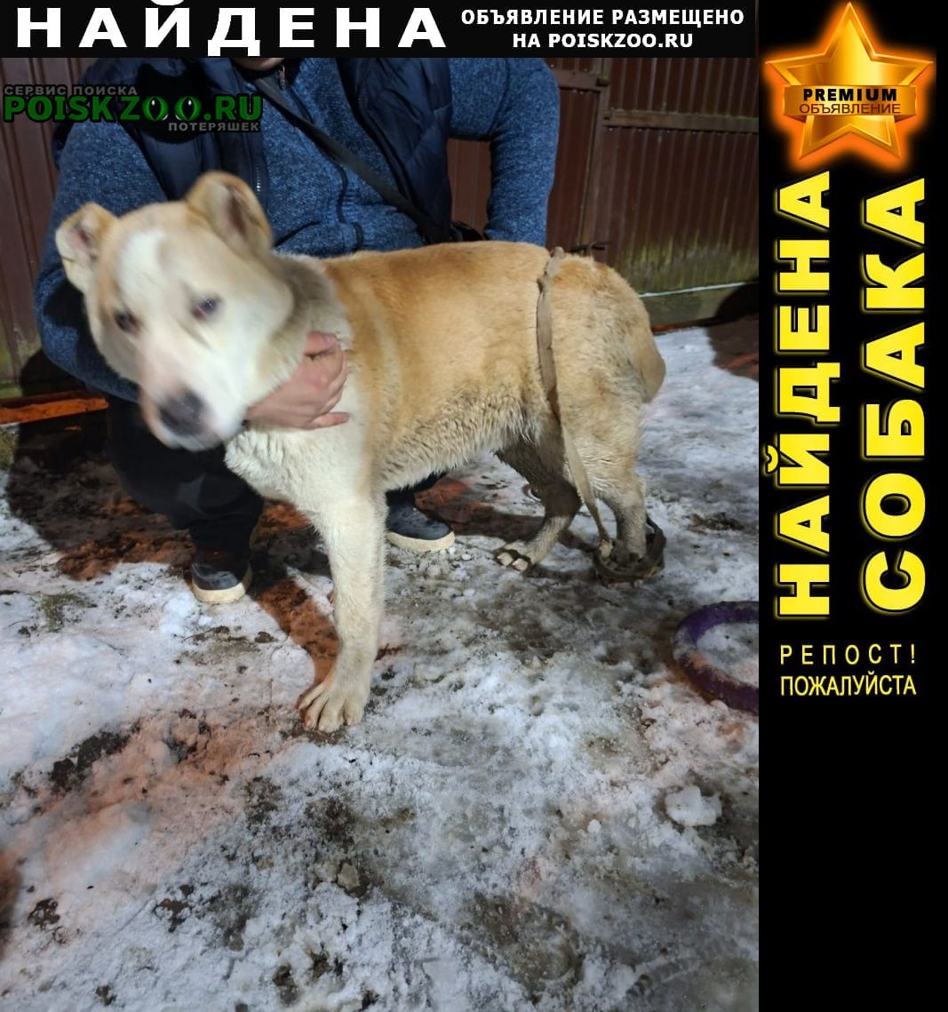 ���� ������� ������ ������ ����� ������