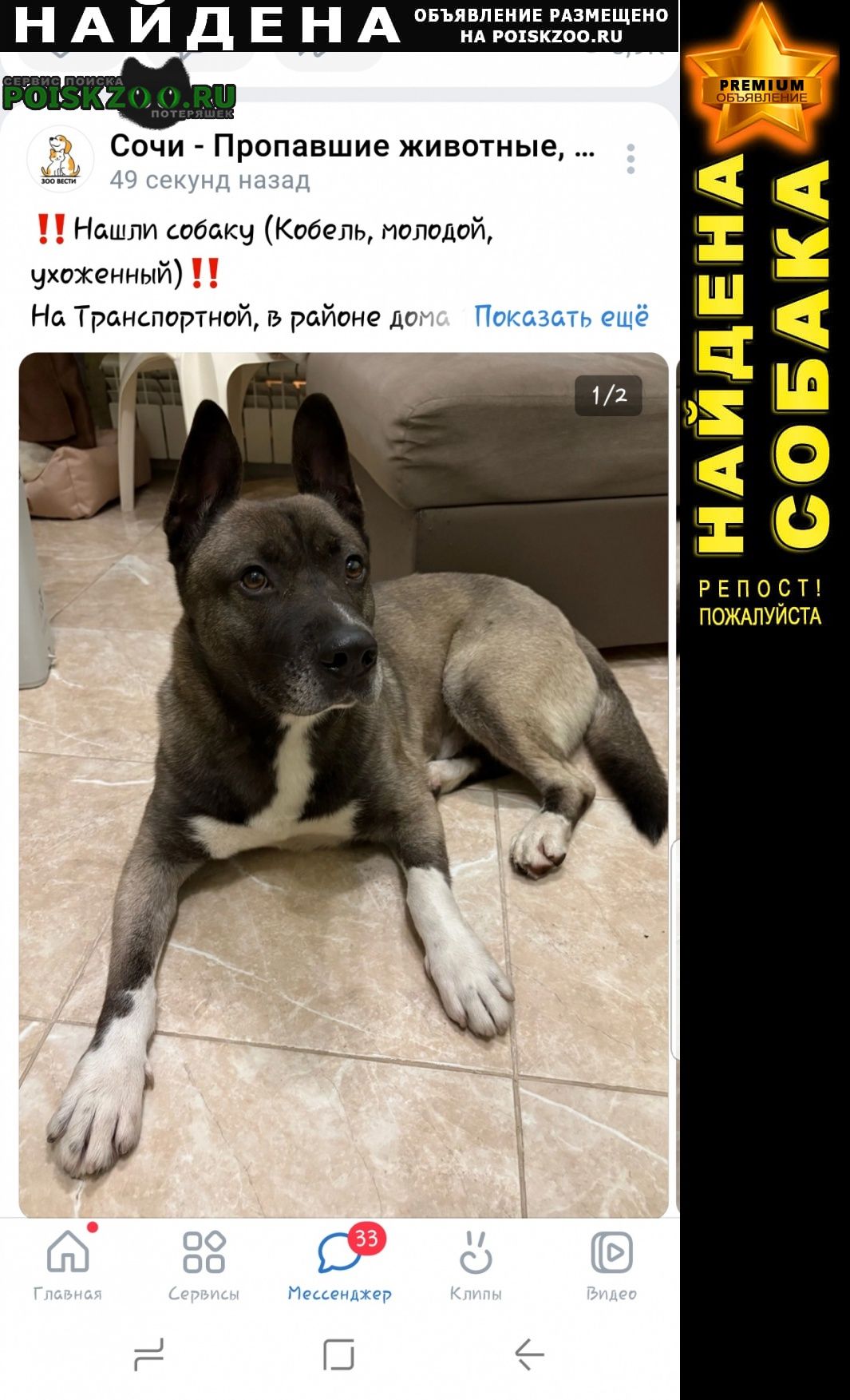 ���� ������� ������ ������