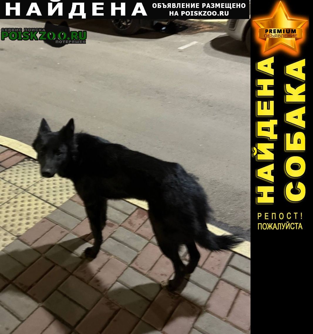 ���� ������� ������