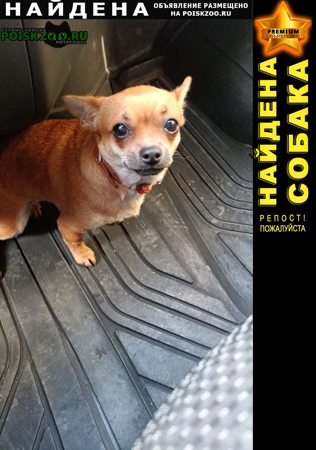 ���� ������� ������ �������� �����, �������