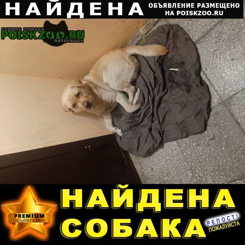 ���� ������� ������ ��������