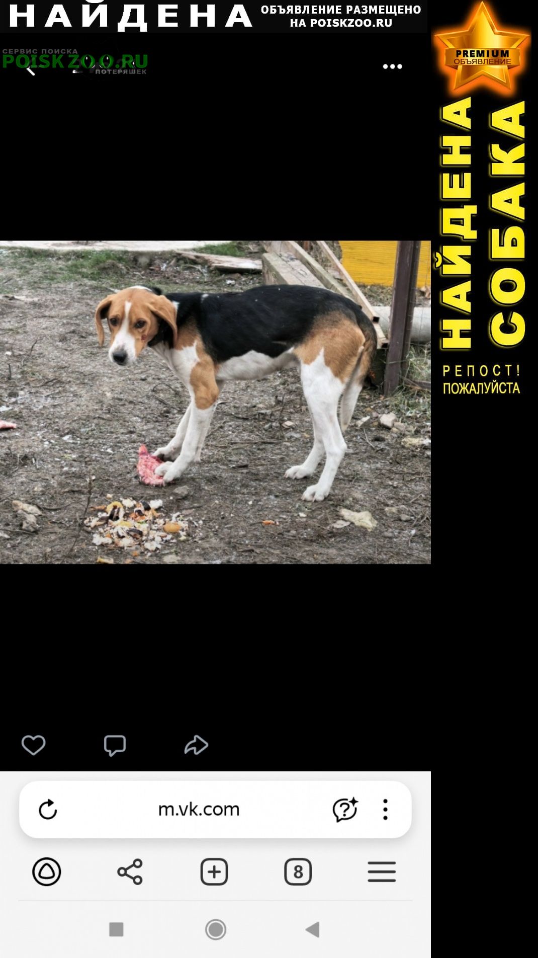 ���� ������� ������ ��������� ������, �����