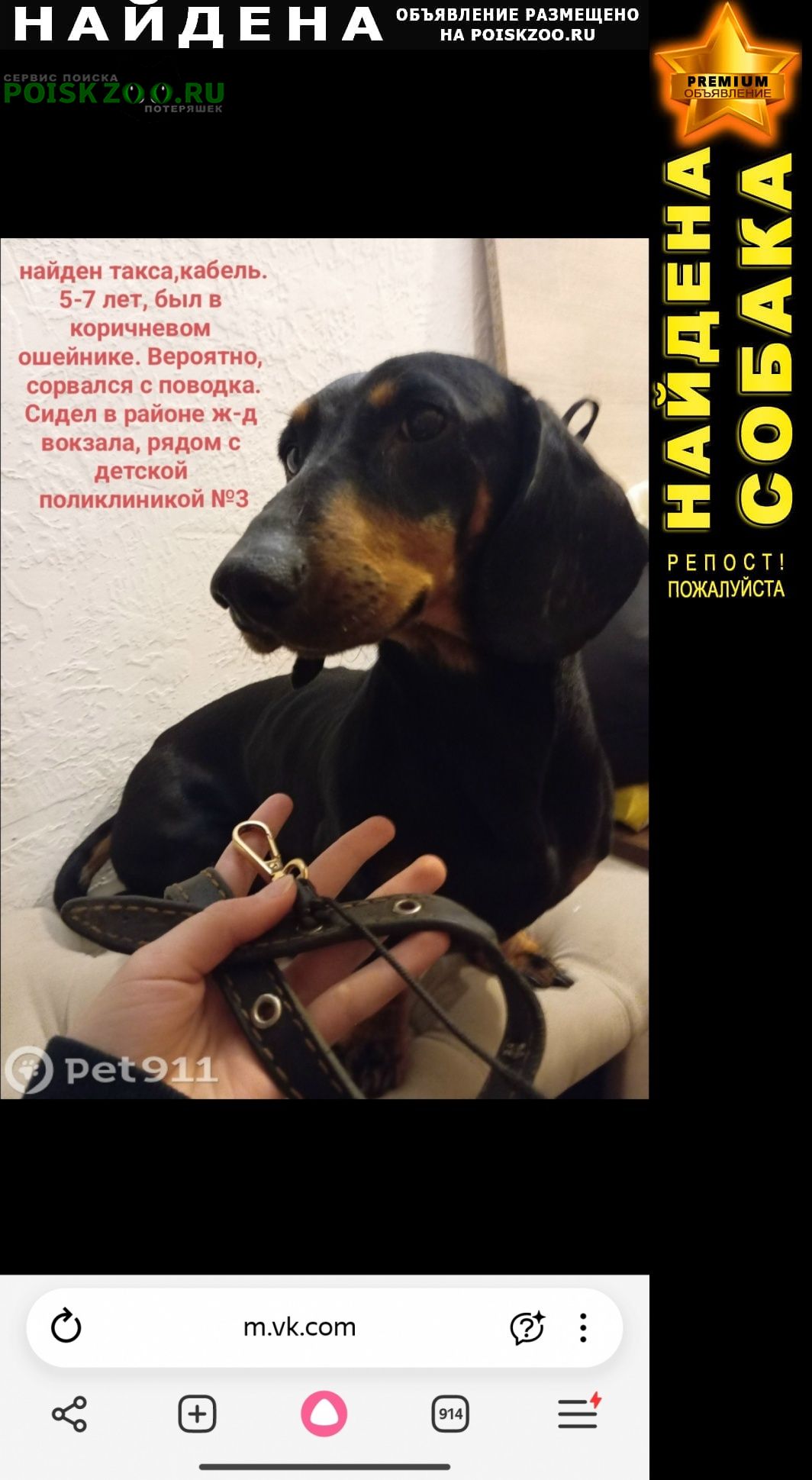 ���� ������� ������ ������ ����� �����