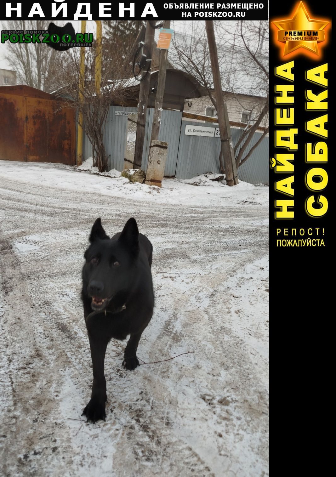 ���� ������� ������