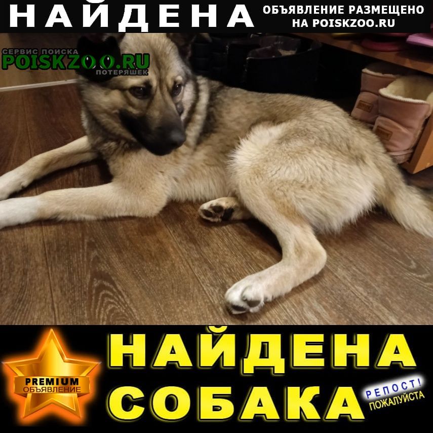 ���� ������� ������ ������