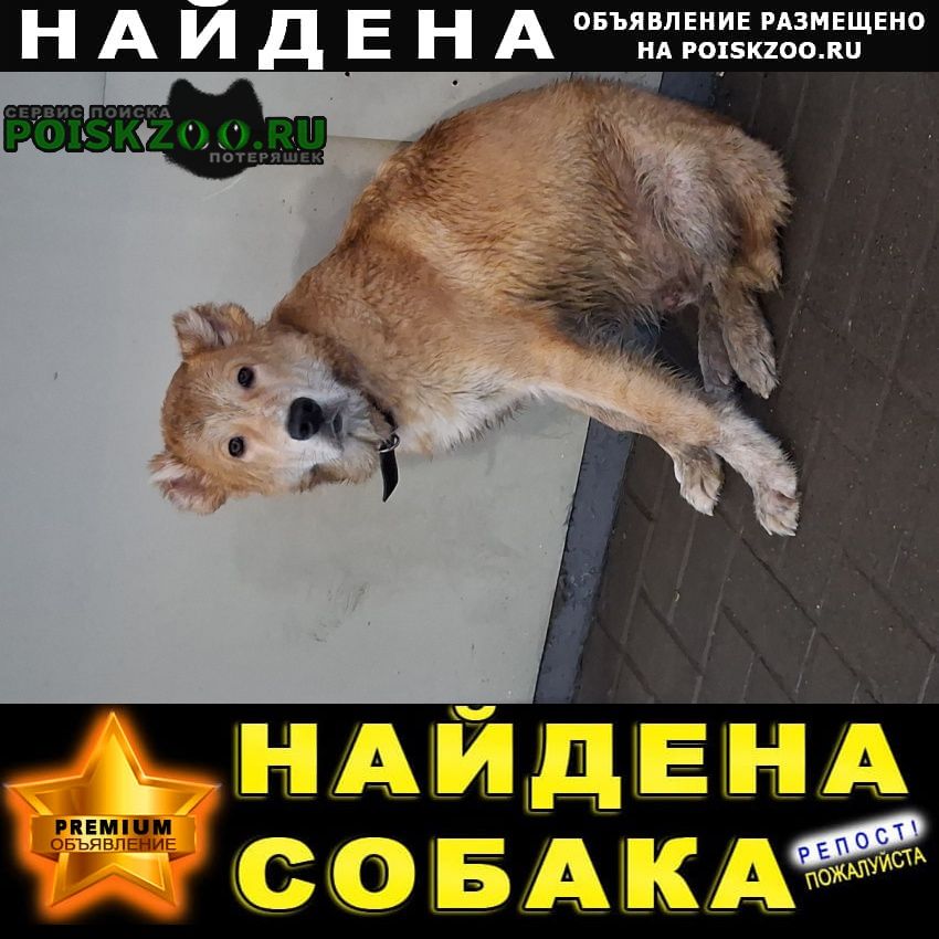 ���� ������� ������ ������ ����� ������