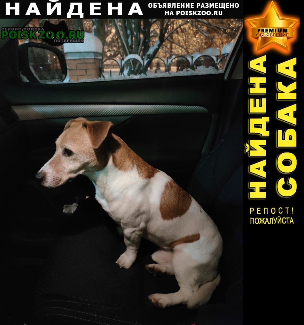 ���� ������� ������ ������ �������, ����� ���