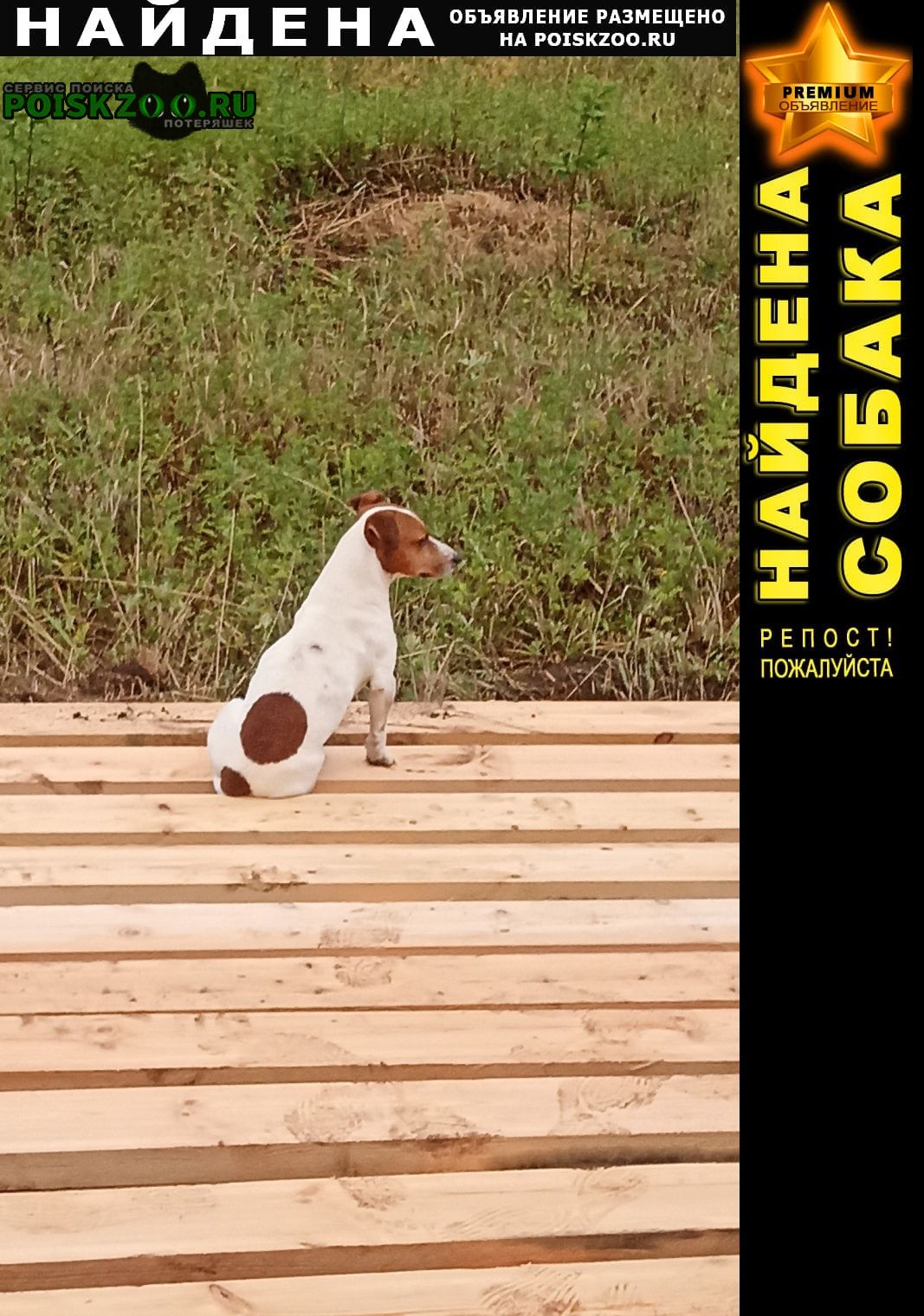 ���� ������� ������ ������ ������ � ����������� ���� ������