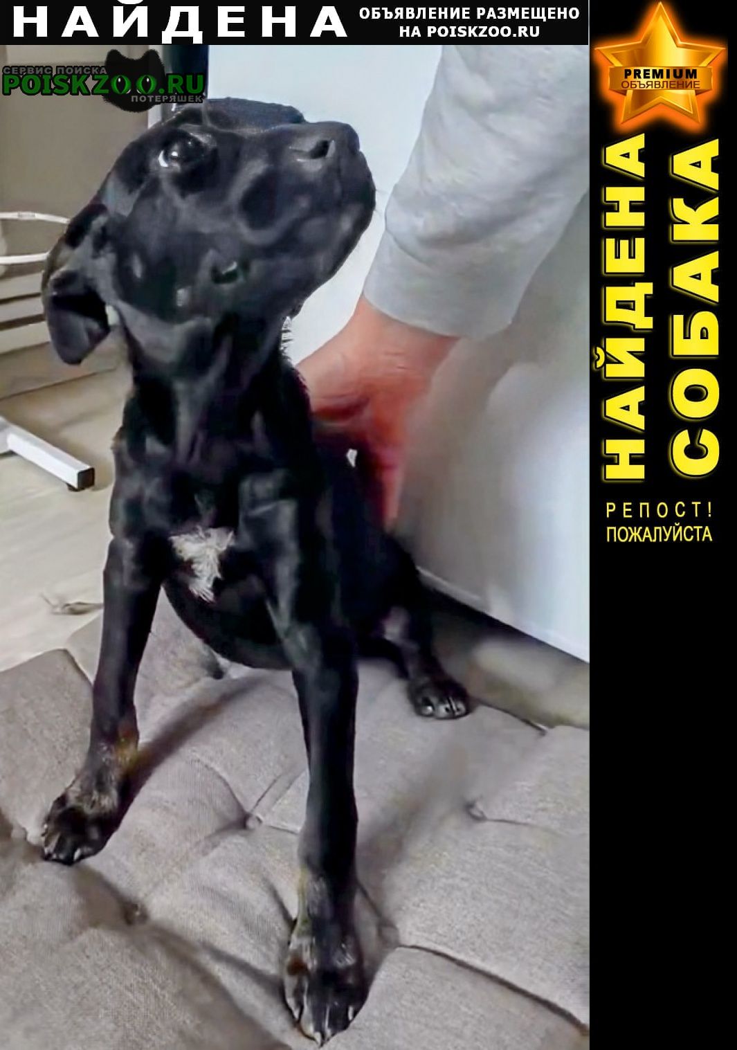 ���� ������� ������ ����� ������� ���� ���� ���