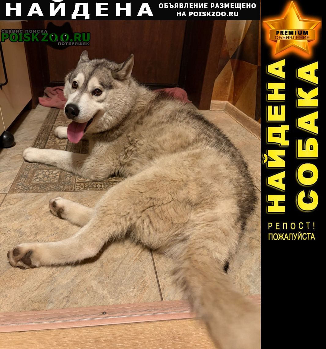 ���� ������� ������ ������ �����, �������, ������ ����������