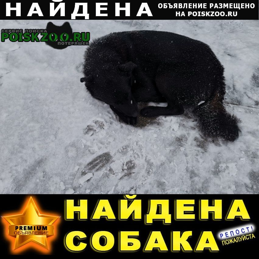 ���� ������� ������