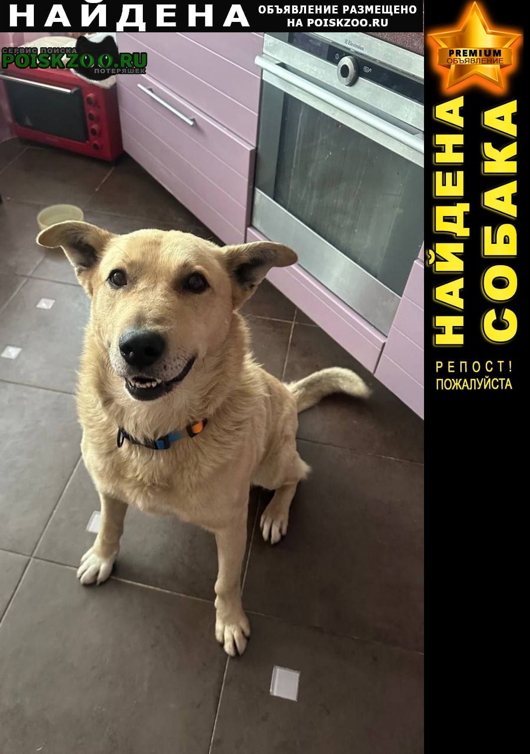 ���� ������� ������ ������