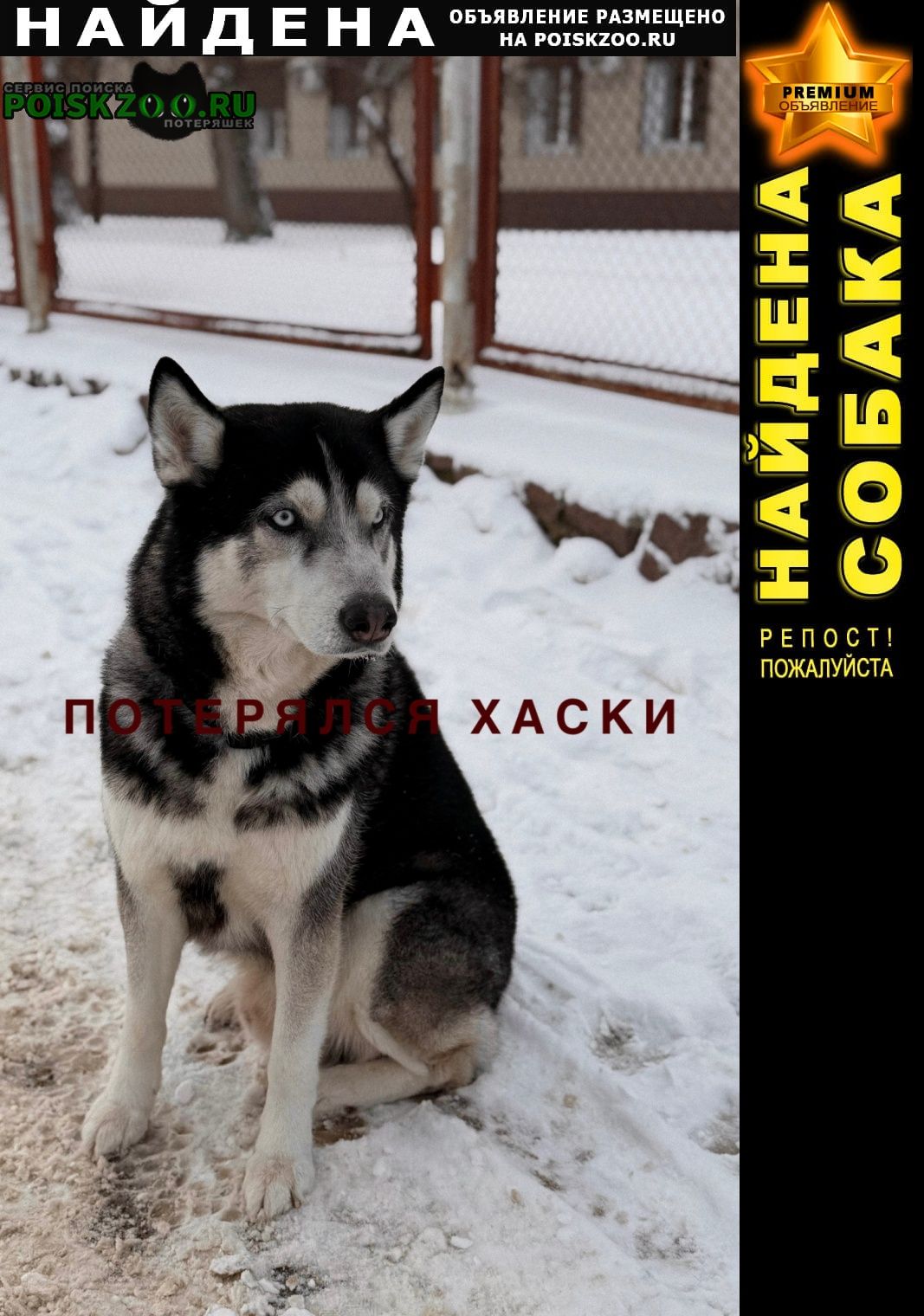 ���� ������� ������ ������