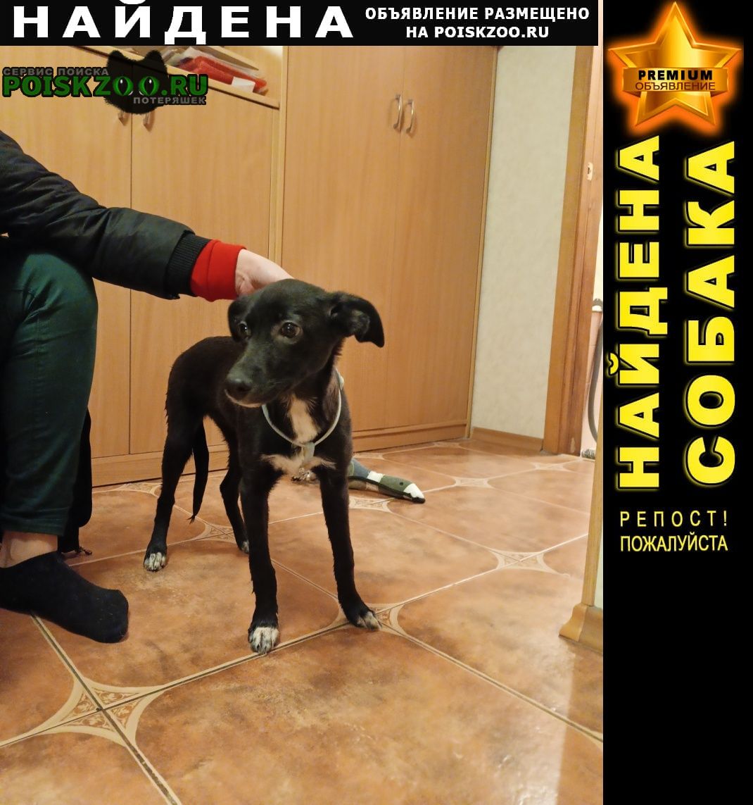 ���� ������� ������ �����